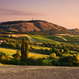 Südmährische Weinreise mit Folklore